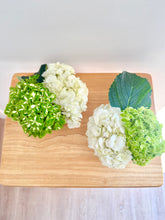 Load image into Gallery viewer, Hydrangea Centerpieces (Set of 5)