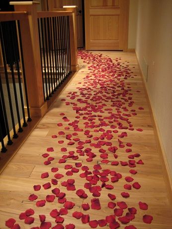 Pathway Of Rose Petals